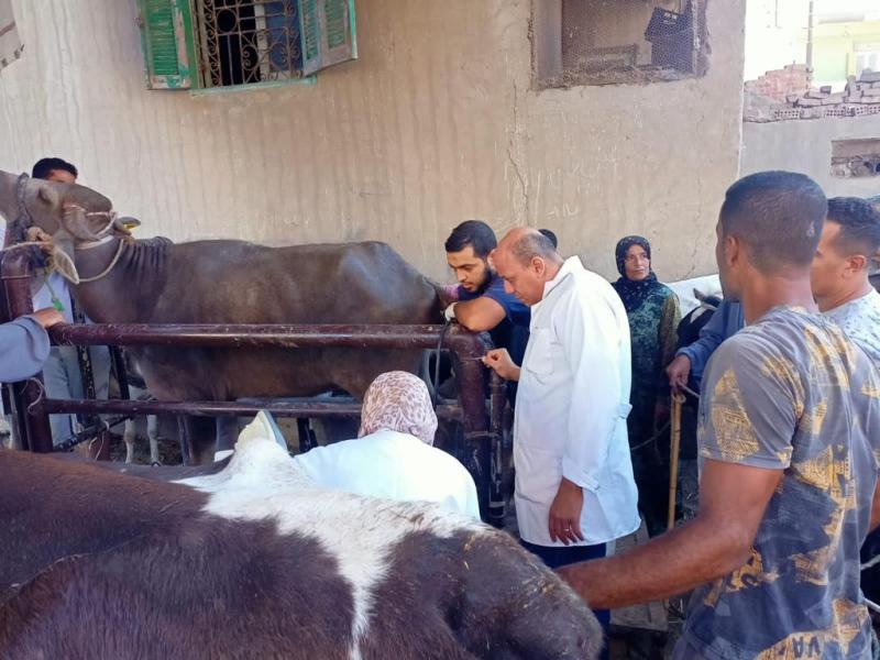 قافلة بيطرية - أرشيفية