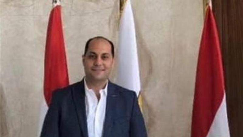 عماد كرم: المصريون يسطرون ملحمة وطنية على مدار ثلاثة أيام
