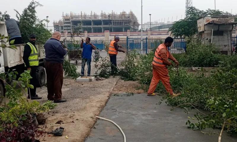 جانب من تطوير المسطحات الخضراء في الإسماعيلية