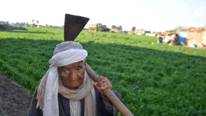 أكبر معمر في الغربية عمره 114 عاما وصحته «حديد».. ذاكرة حية