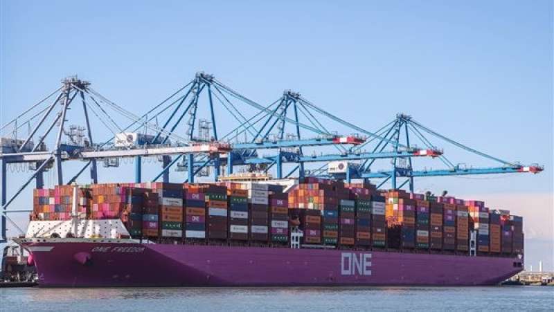 أكبر شركة شحن حاويات في العالم بميناء دمياط: نرغب في زيادة أعمالنا المشتركة