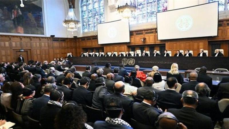 52 دولة تدلي ببيان أمام محكمة العدل الدولية بشأن المجازر الإسرائيلية في فلسطين