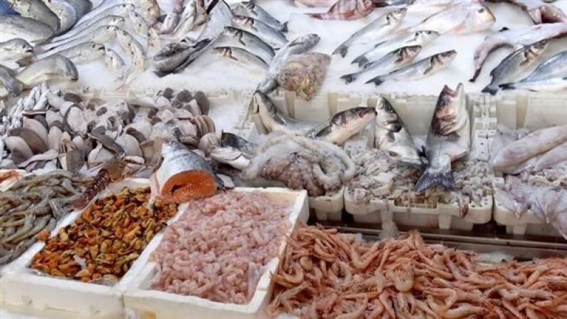 أسعار الأسماك اليوم، فيليه بلطي يرتفع 20 جنيهًا في سوق العبور
