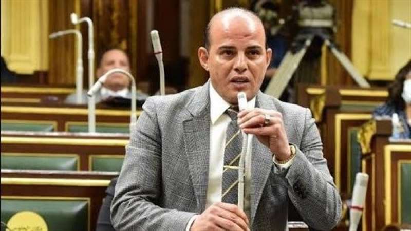 برلماني: مصر ترفض التهجير القسرى للأشقاء الفلسطينيين جملة وتفصيلا