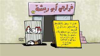 لما تشوف سعر البط